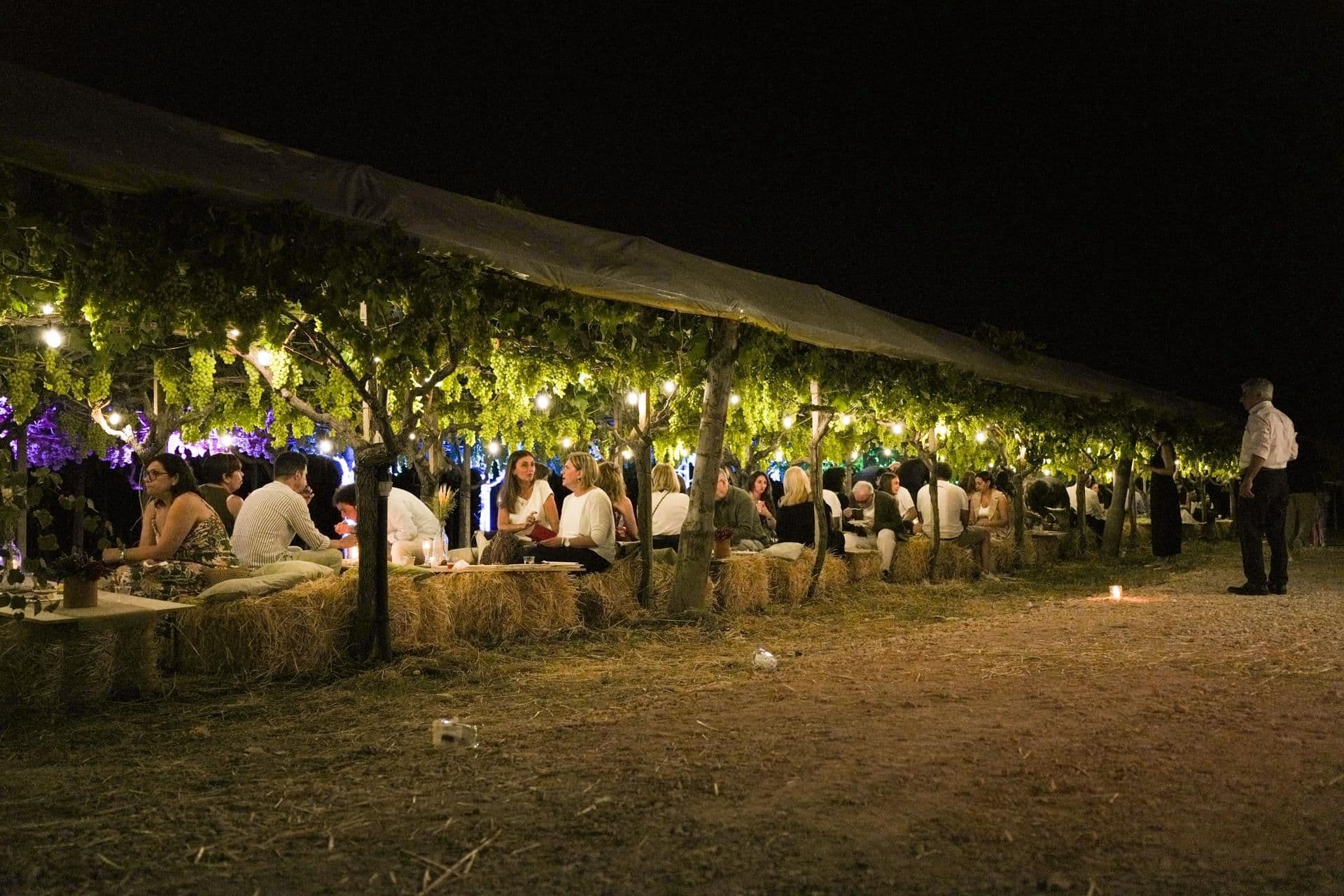 Cena nel vigneto, vista ampia