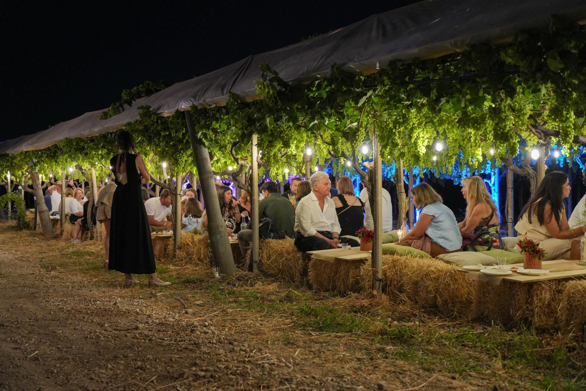 Cena nel vigneto sotto le viti